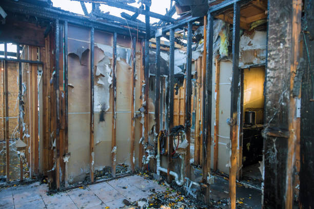 Professional Fire Damage Removal technician working in Verona, MS